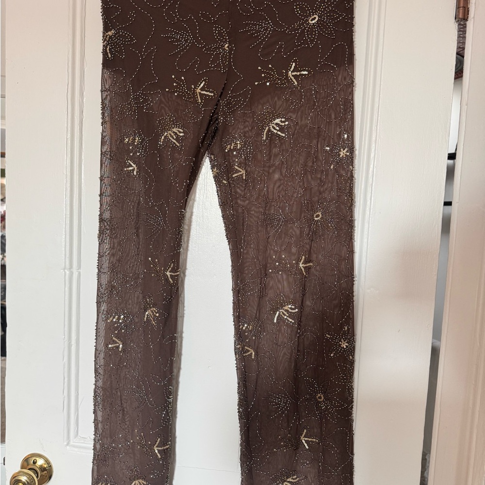 Zara Brown Sheer Pants with Beadwork